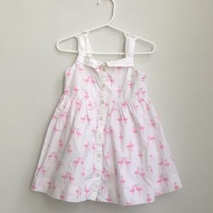 Janie and Jack flamingo dress